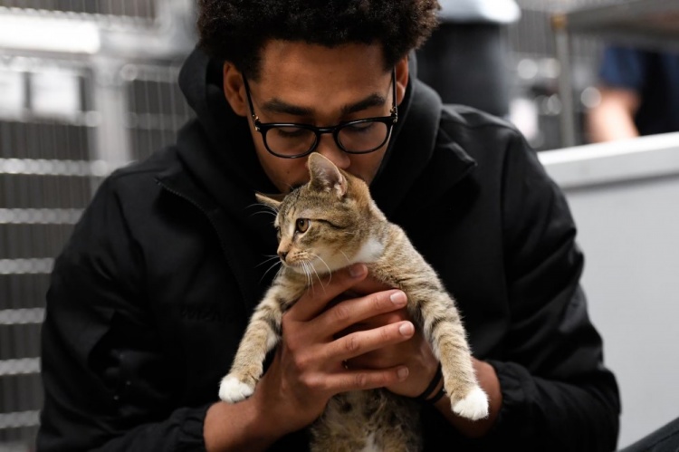 普爾：NBA裏養貓的人很多 春水堂视频入口有一個秘密的圈子常私下交流